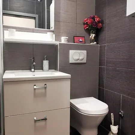 公寓 Brand New Place 罗维尼